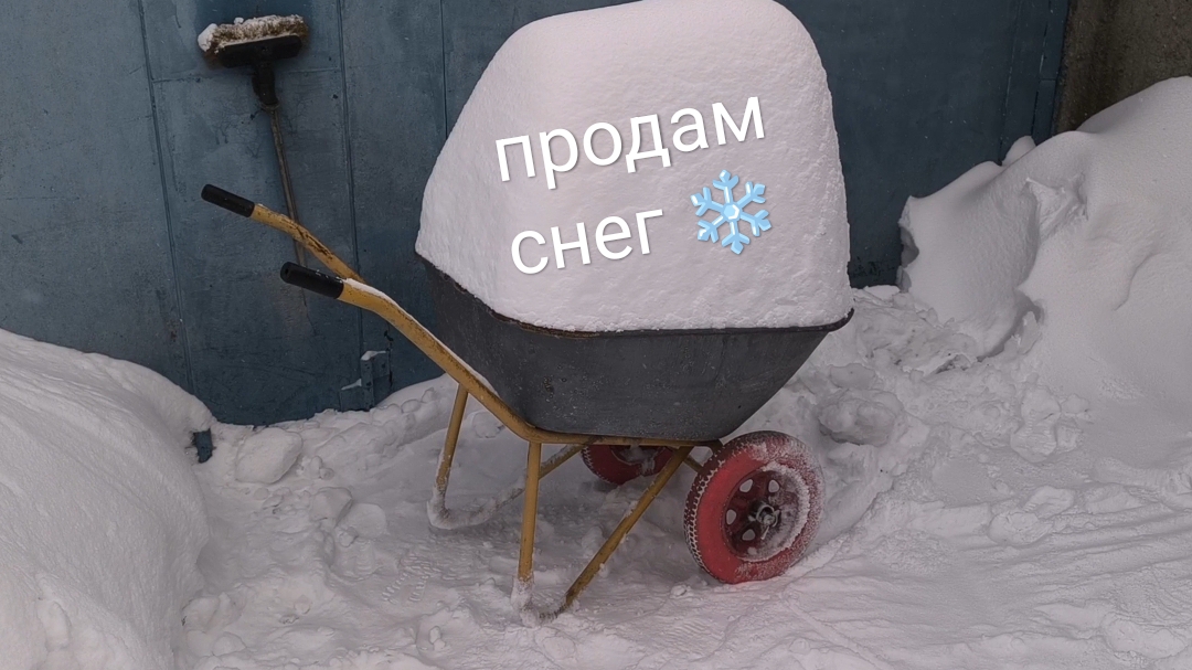 Почта России отказалась принимать посылку 📦 с авито смотреть онлайн