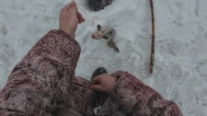 Проверка крючков на налима 7 и 8 февраля 2026.