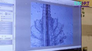 Биоинженерия. ОДОД Школы 550