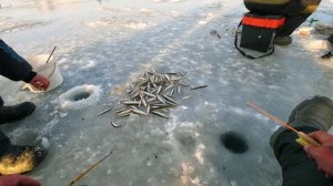 Рыбалка Приморский край 2026 р.Соколовка.Ловля корюшки