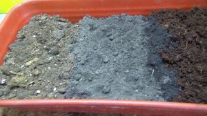 ПОСЕВЫ 2026-4. Магазинный грунт при выращивании рассады использую как добавку.