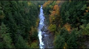 Библия онлайн | Книга Иисуса Навина, 5 глава