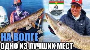 Рыбалка в Казани - Где, как и кого ловить? Спиннинг на Куйбышевском водохранилище