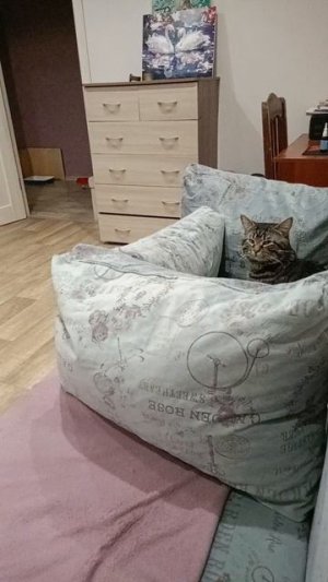 1002784122.mpллорп