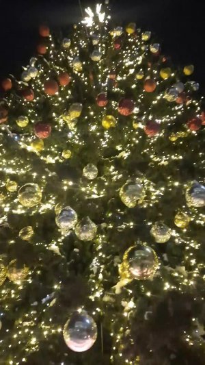 11 февраля 2026