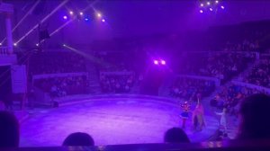 Цирк в Самаре