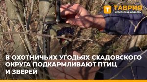 В охотничьих угодьях Скадовского округа подкармливают птиц и зверей
