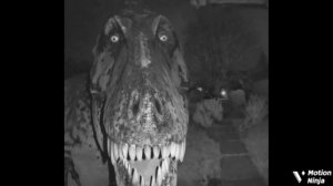 Montagem Espacial Rubistica (ULTIMATE SLOWED)