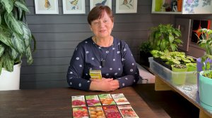 Что за семена?