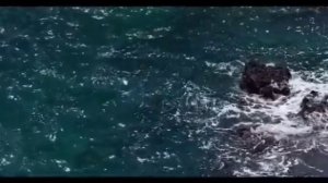 Правдивая Ольга. Лёля Быкова. Экстренное обращение. Всё зависит от вас. Деревенский дневник.