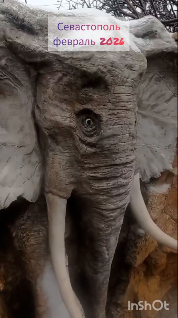 Куда мы идем...