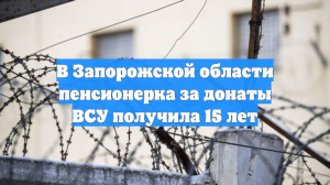 В Запорожской области пенсионерка за донаты ВСУ получила 15 лет
