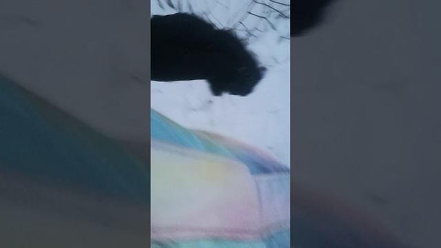 Иду домой