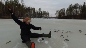 ЧЕМ ЗАКОНЧИЛАСЬ ЕГО ПОСЛЕДНЯЯ РЫБАЛКА. Таёжное озеро полное рыбы.