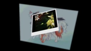 #возрадимрукв#остролапсфотиком#крутобок#остролистая#быстролапияролика#котывоители#wareiorcats