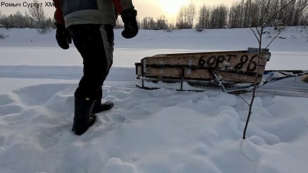 Жерлицы проверка. 5 день.