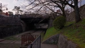 Утренняя прогулка по Японии | Красивые пейзажи для спорта, медитаций и фона