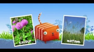 КубоКот о растениях луга. Обучающее видео для детей.