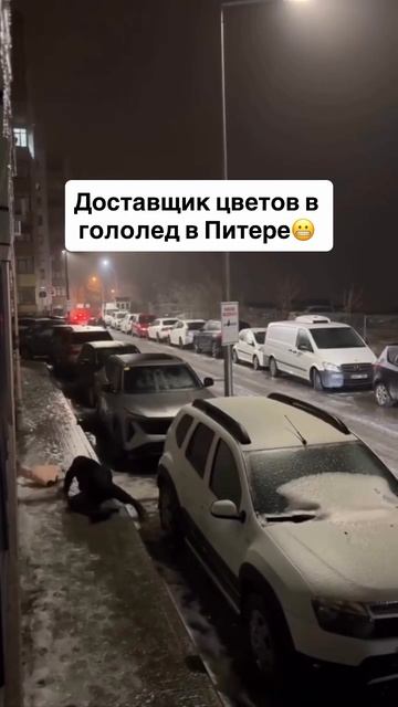 Доставщик цветов в гололёд смотреть онлайн