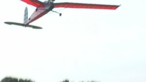 Сама Грация от Сергея Петровича Витковского...