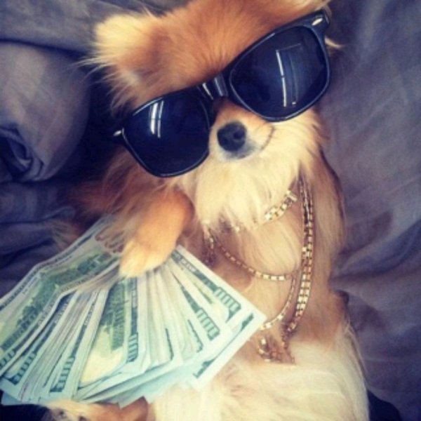 попробовать продукты на ощупь вкус челлендж