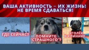 Один в поле не воин. Сегодня нам нужен каждый из вас!