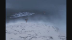 Песня о тревожной молодости (cover)