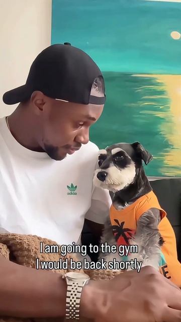 The moment my dog meets my boyfriend…#dog #JealousDog#DogReacts#DogLife#CoupleVs смотреть онлайн