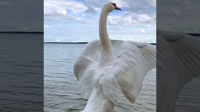 Доброе утро!