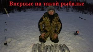 ЗИМНИЙ ЛОВ ФОРЕЛИ НА СНЕГОХОДЕ: КАК МЫ ХОРОШО ОТЛОВИЛИСЬ