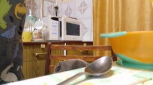 шоу от басика кулинар будибасов🤣🤣🤣🤣🤣🤣🤣🤣🤣