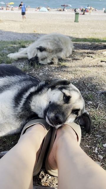 Турция смотреть онлайн