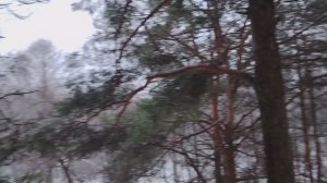 Деньги. Подушка финансовой безопасности. Деньги в долг