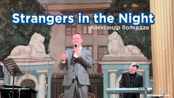 "STRANGERS IN THE NIGHT" - исп.Александр Волкодав ЦДУ 7/02/26 #volkodav #домученых #franksinatra