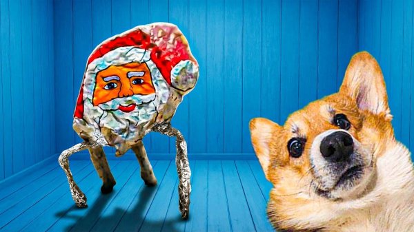 ГУГУ ГАГА!! ТЫ КТО КРЕНДЕЛЬ? Корги Кекс Говорящая собака