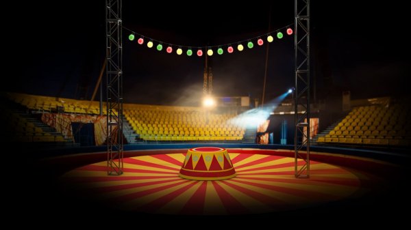 Цирк Cirque du Soleil