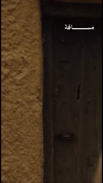 Неужели вы вожделеете мужчин, перекрываете дороги и совершаете предосудительное на своих сборищах?». смотреть онлайн