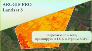 ArcGIS Pro: вырезаем Landsat по маске, проецируем и строим NDVI.