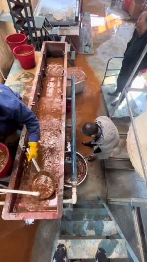 Поиск золота