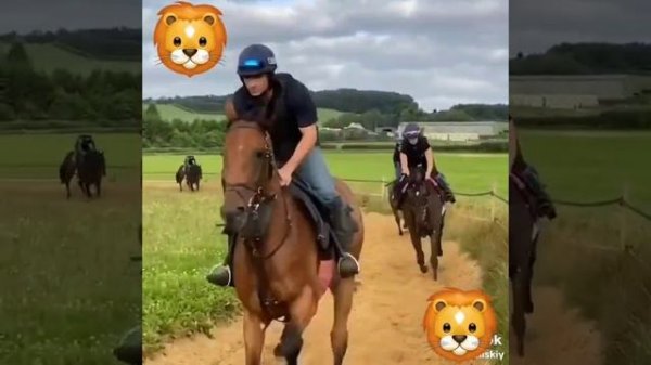 очень нравится это видео делимся вы только послушайте какое дыхание у Лошадей