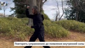 088 Лабиринты кунфу