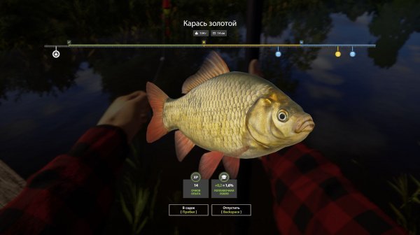 Играю в Russian Fishing 4🐟🦈