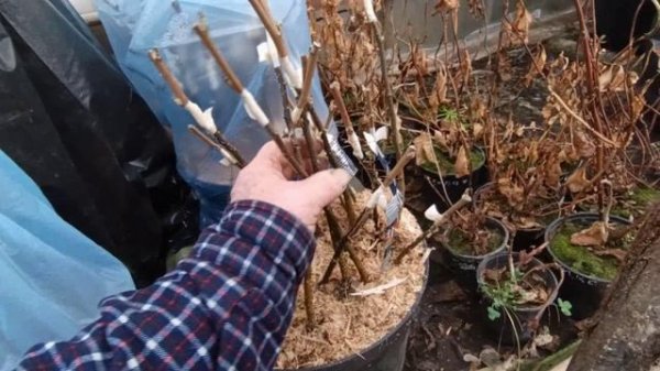 ответы на вопросы подписчиков 10 февраля.