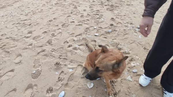 НАДЫШАЛИСЬ ВСЕГО ПО НЕ МНОГУ