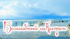 Волшебный саксофон поёт нам  о любви...Очень красивая инструментальная музыка...Шум моря и крик чаек