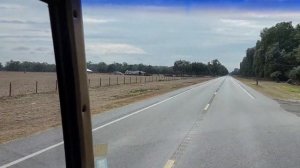 #385 We Didn’t Expect THIS Many Cows in Florida 🐄RV Life in Florida… and COWS Everywhere 10.02.2026