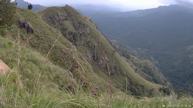 шриланка. Amaya beach passikuda смотреть онлайн