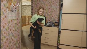 Родительские будни. Животные в доме