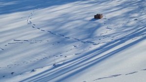 🌈 ＂Страна Сэфестия＂. ❄️ ＂Февральский Контакт＂. 🌊