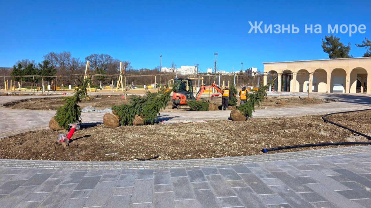 Первая очередь Дендропарка в Геленджике между Туристической и Солнцедарской прямо сейчас смотреть онлайн